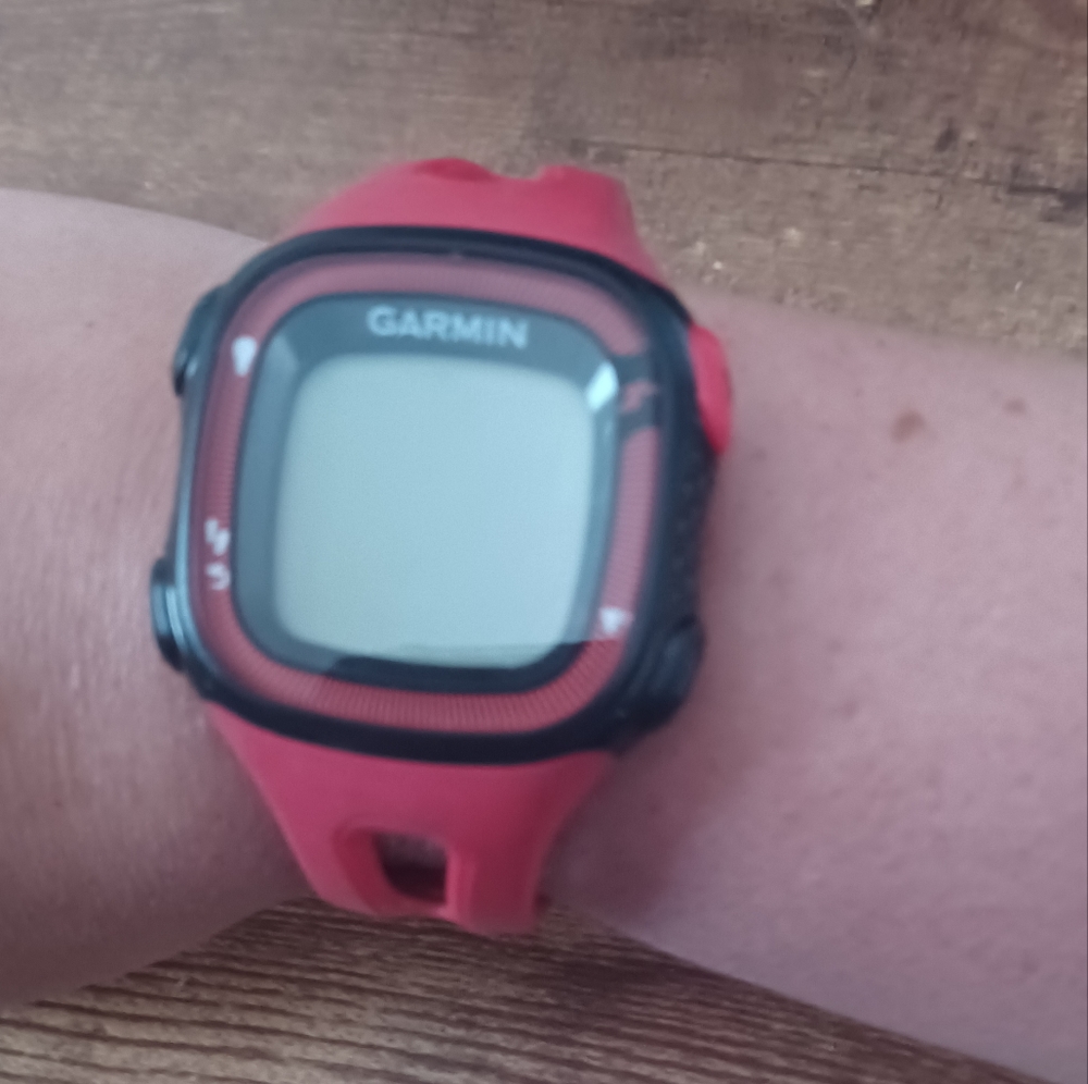 Red/Black Garmin Forerunner 15 smartwatch (comes w/ charger)